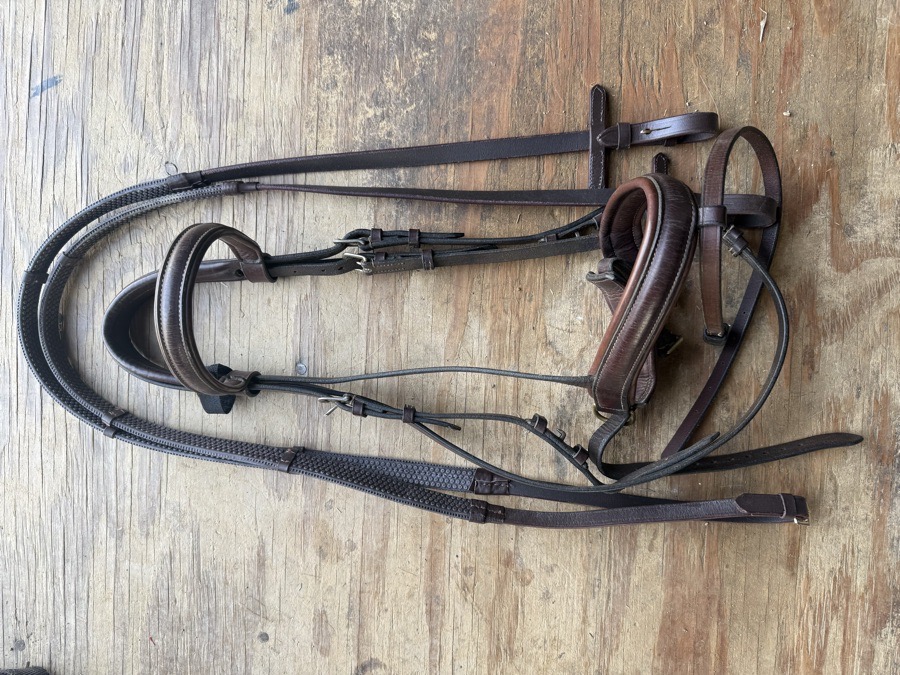 Jeffries Elevator bridle and reins
