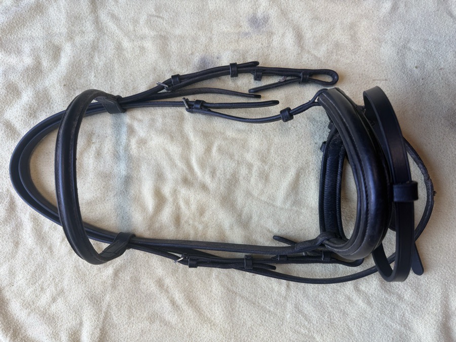 black cob Plymouth bridle