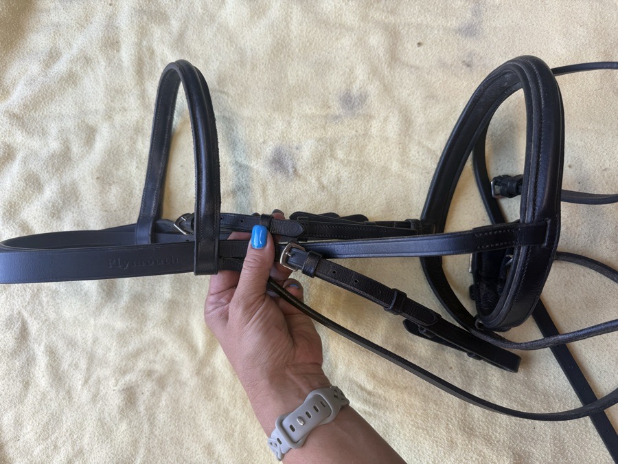black cob Plymouth bridle