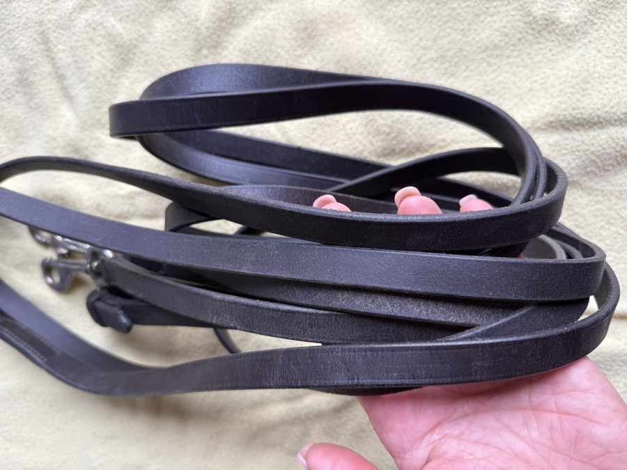 dark brown draw reins