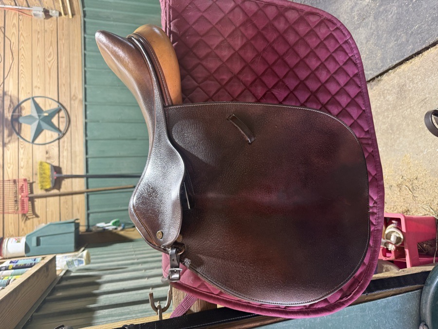 Collegiate Saddle 16.5”