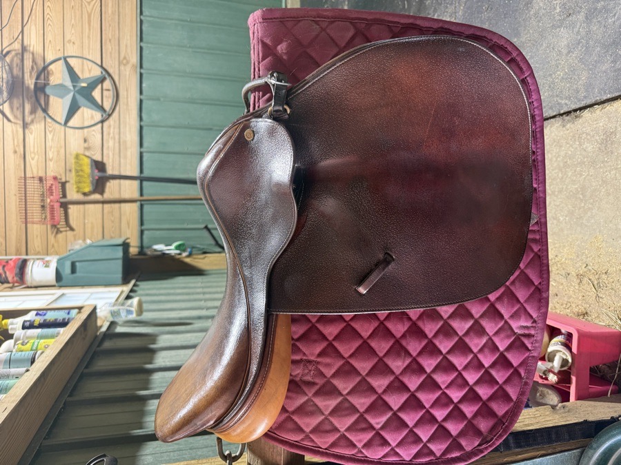 Collegiate Saddle 16.5”