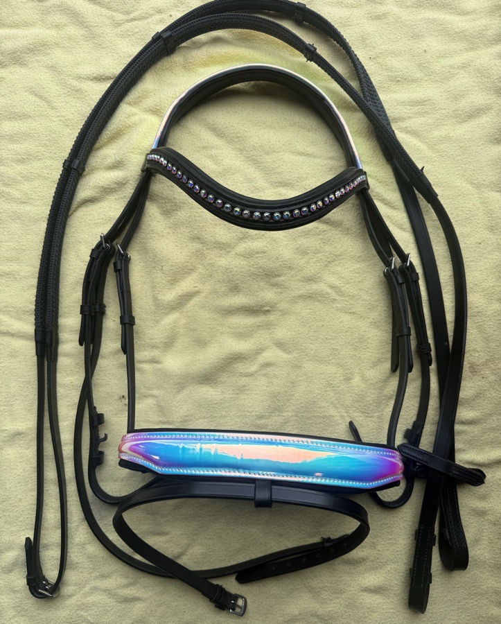 holographic full sized flash bridle with reins
