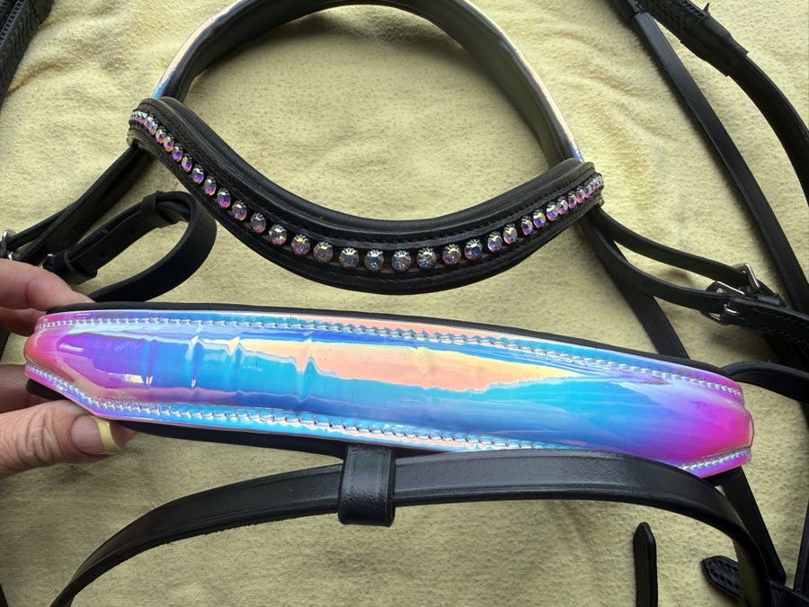 holographic full sized flash bridle with reins