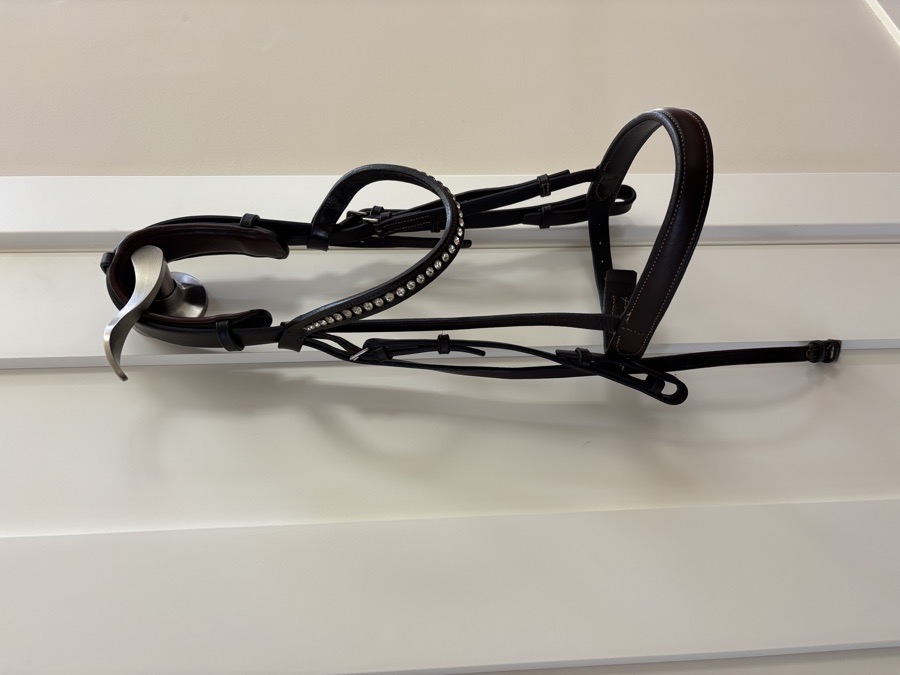 Brown bridle