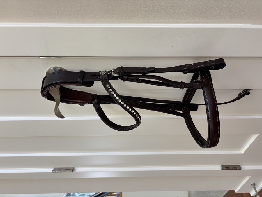Brown bridle