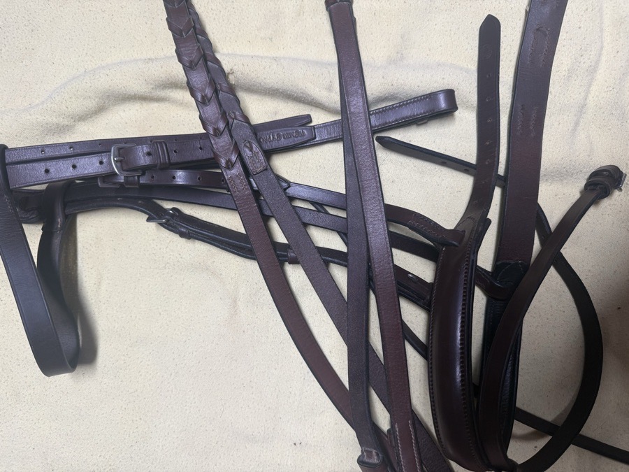 full sized flash bridle and reins