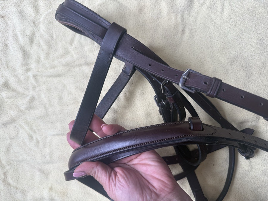 full sized flash bridle and reins
