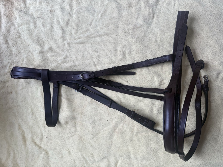 full sized flash bridle