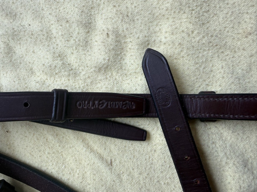 full sized flash bridle and reins