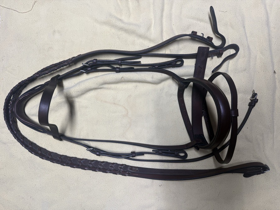 full sized flash bridle and reins