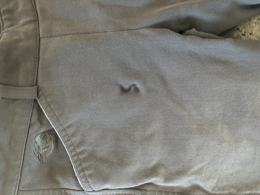 Piper by smartpak grey breeches 