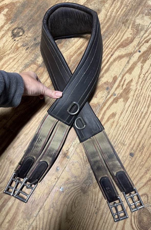 52” (measures 54”) M. Toulouse Anatomic girth