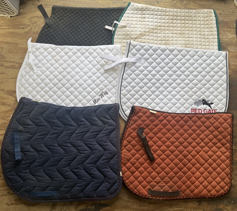 lot of saddle pads