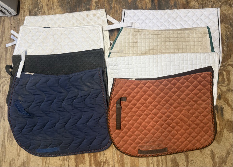 lot of saddle pads