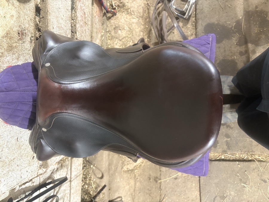 Antares signature monoflap 3AA 17in saddle