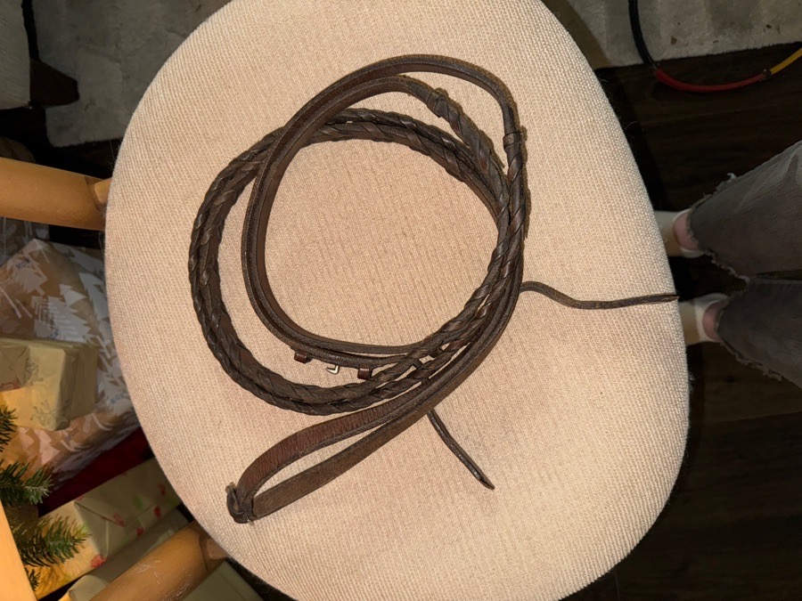 Brown braided reins 
