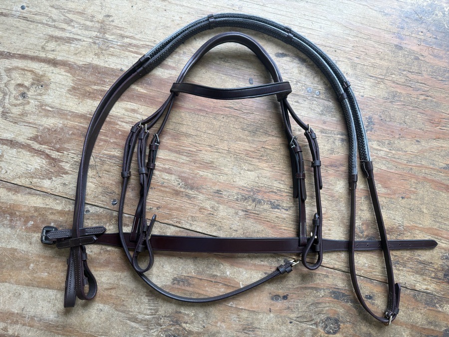 cob sized hunt bridle