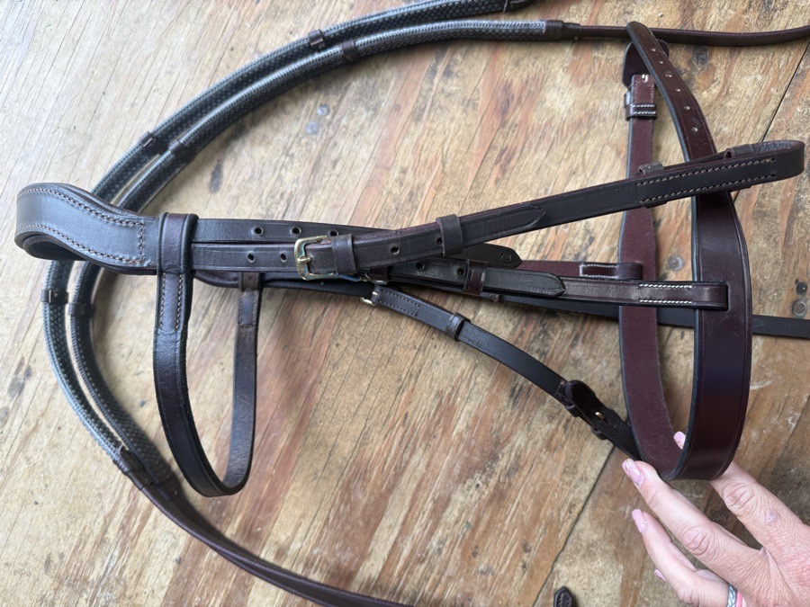 cob sized hunt bridle