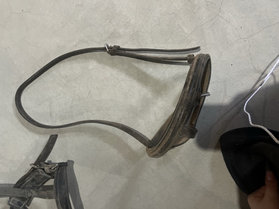 Noseband #2