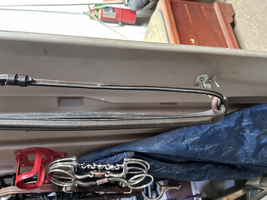 Cob Standing Martingale
