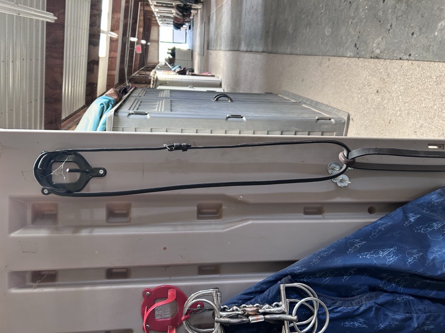 Cob Standing Martingale