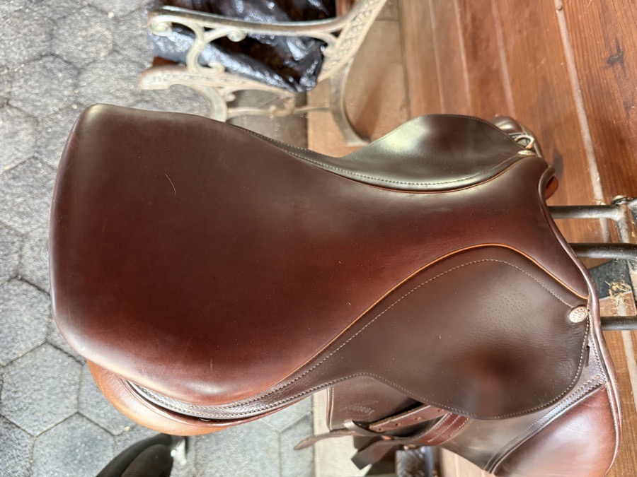 15” Pessoa saddle