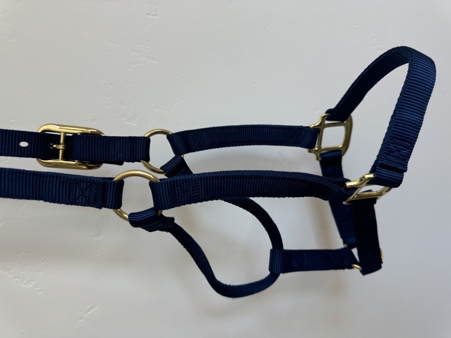Navy Halter 