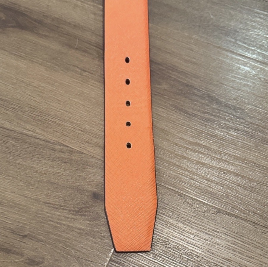 Riviera Equisports Wide Orange Belt with Gold Buckle