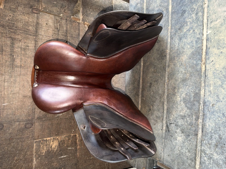 CWD SE01 | 16.5" 1C | 4.25" Tree Size | Before 2010
