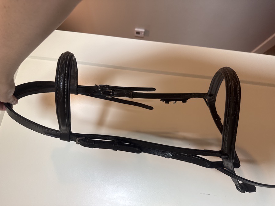 Dover saddlery bridle 