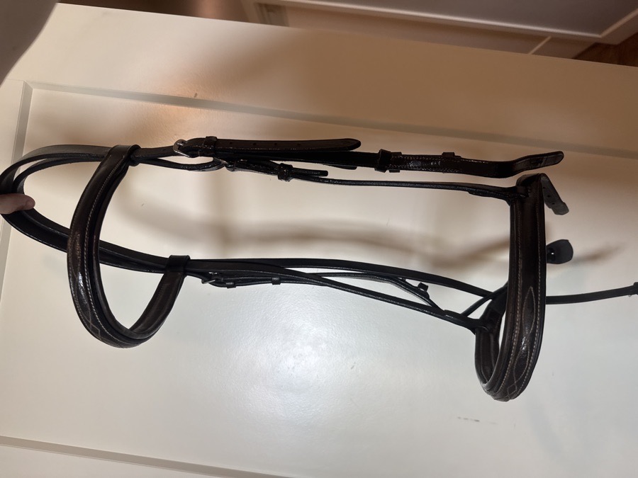 Dover saddlery bridle 