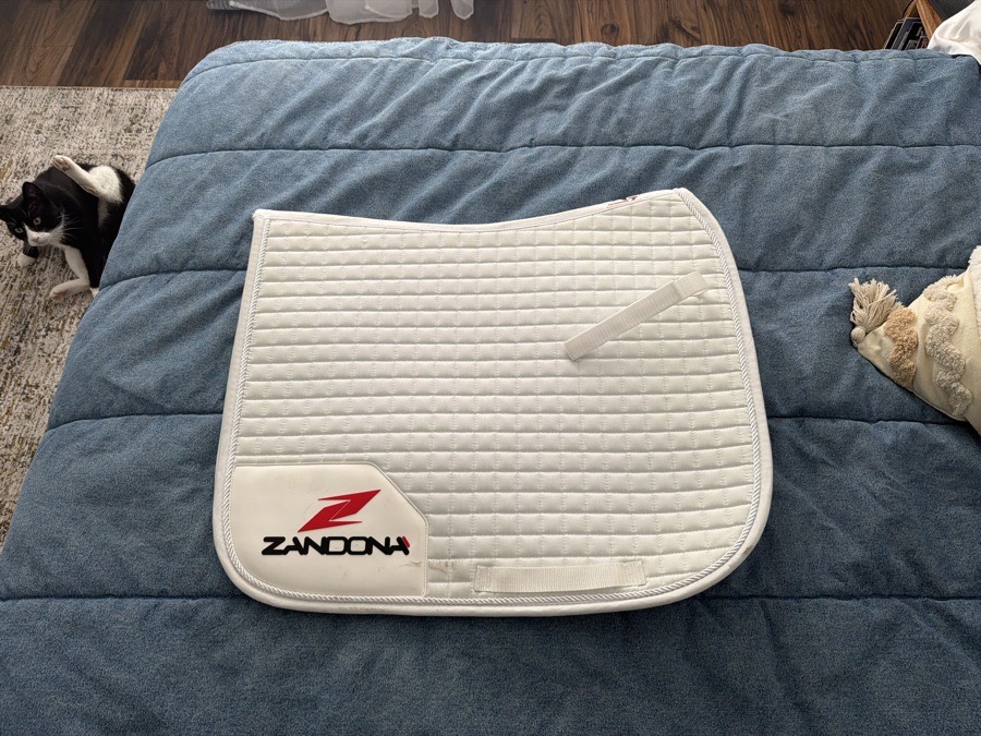 NEW ZANDONA DRESSAGE PAD