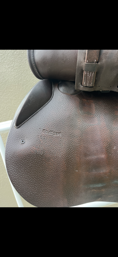 Voltaire saddle - 2024 - 18 
