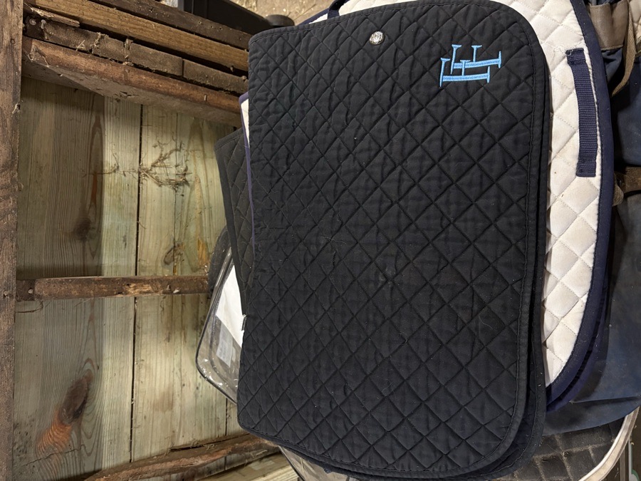 Saddle pad lot