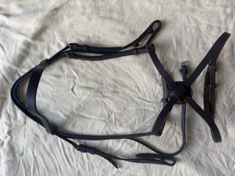 Full sized figure 8 