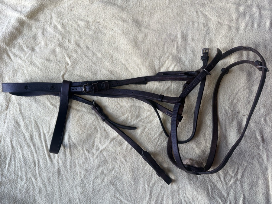 Full sized figure 8 