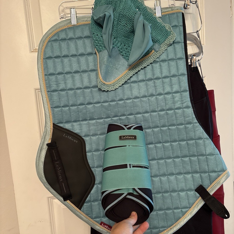 LEMIEUX  Large Bundle