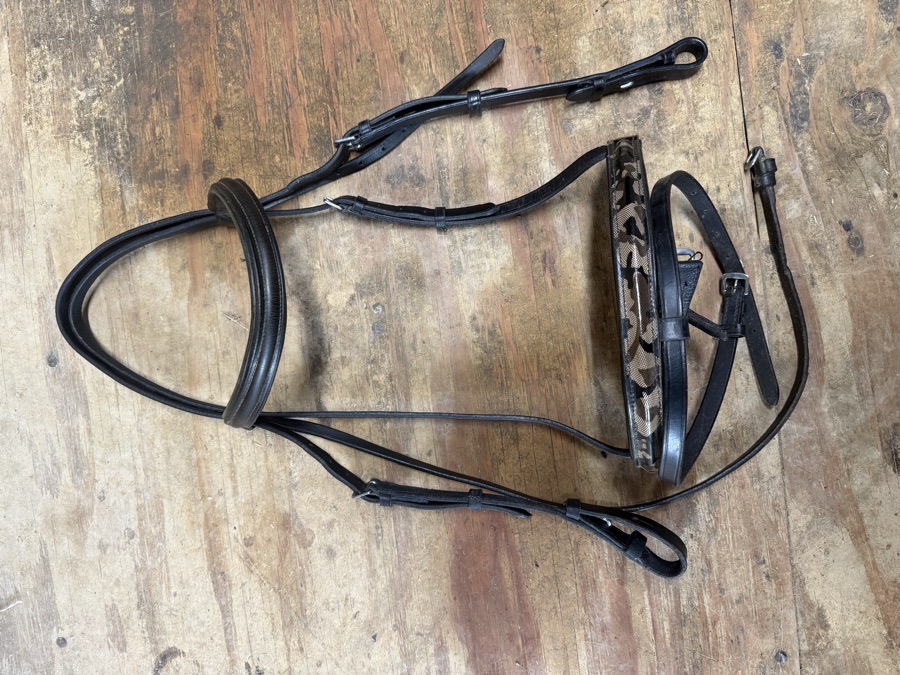 Black and camouflage bridle