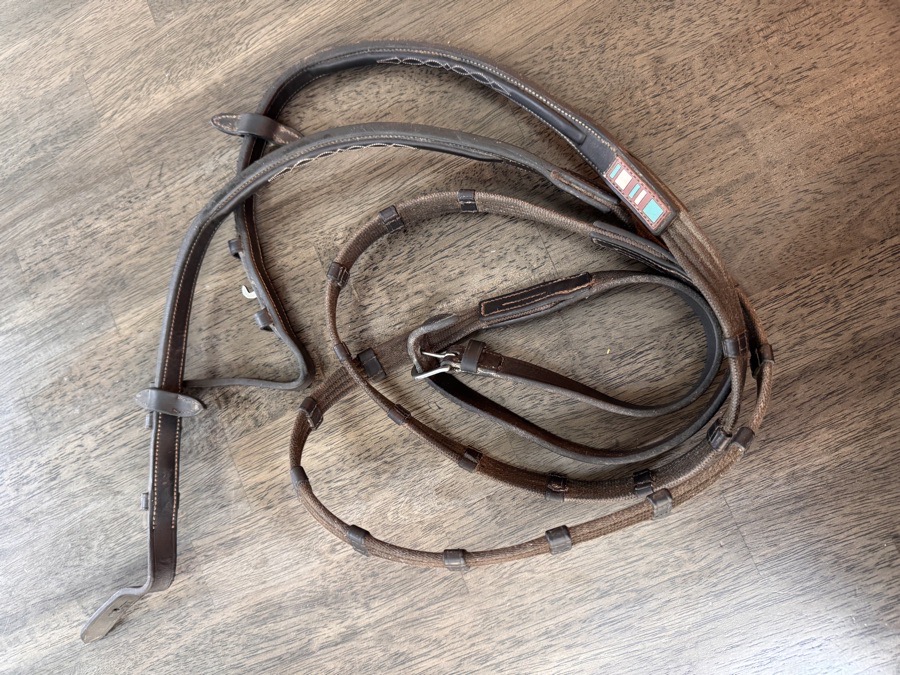 Voltaire Webbed reins 