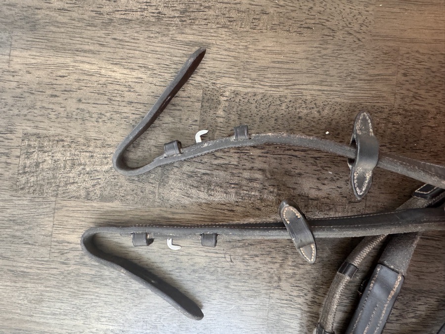 Voltaire Webbed reins 