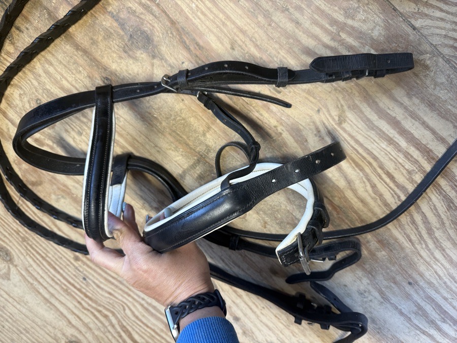 Full sized black bridle