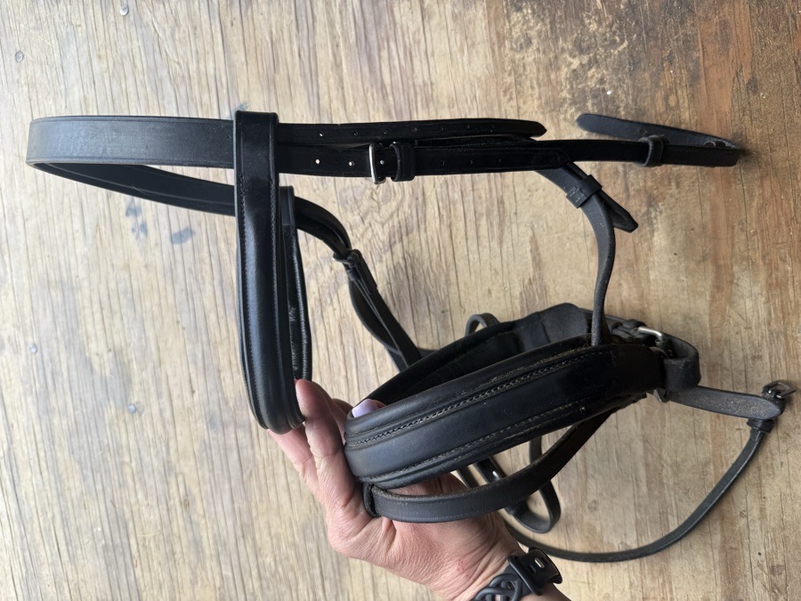 Black full sized flash bridle