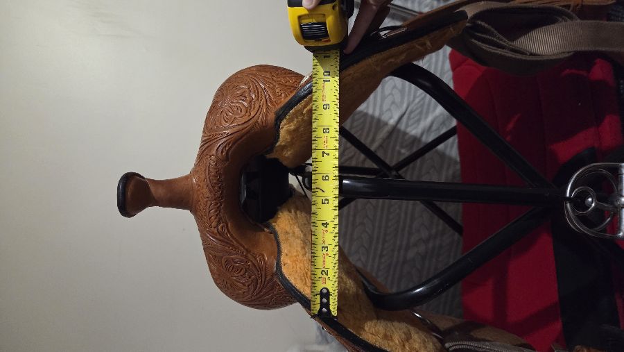 CIRCLE Y | 17" | 7" Tree Size