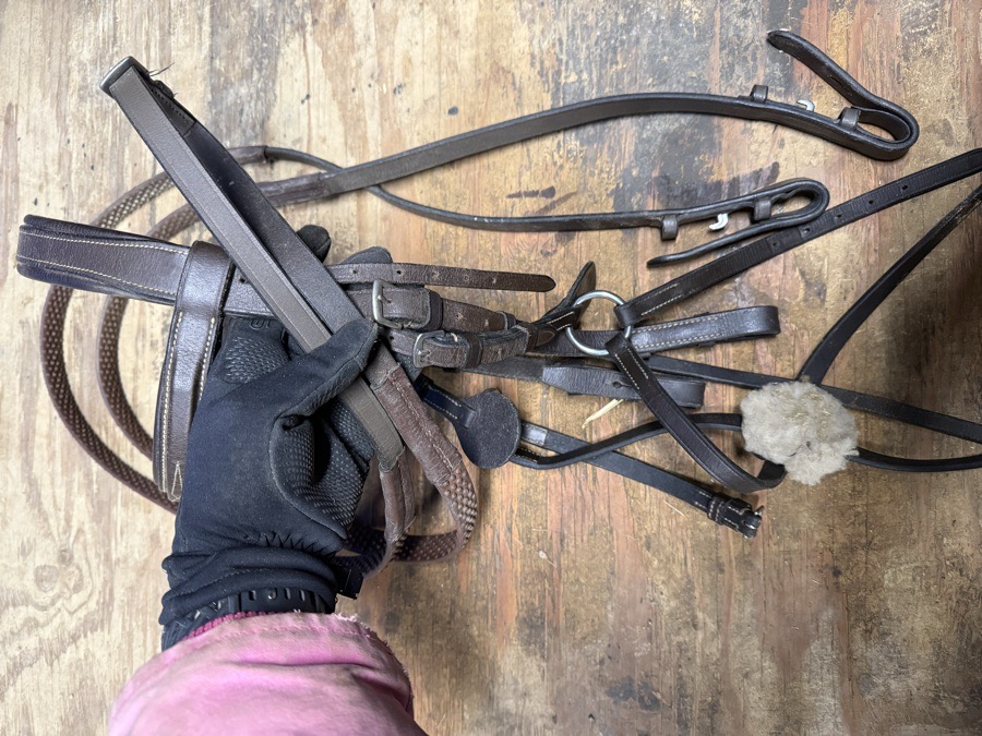 Cob figure 8 bridle and reins
