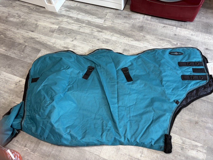 KESINGTON medium weight turnout 180 GM