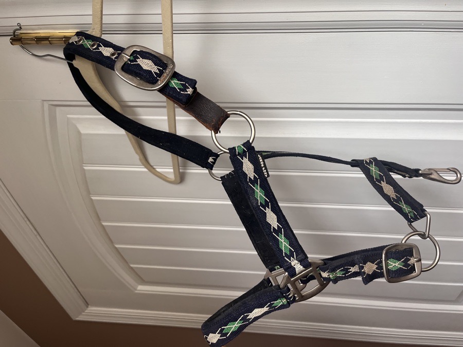 Argyle Sulfolk Halter