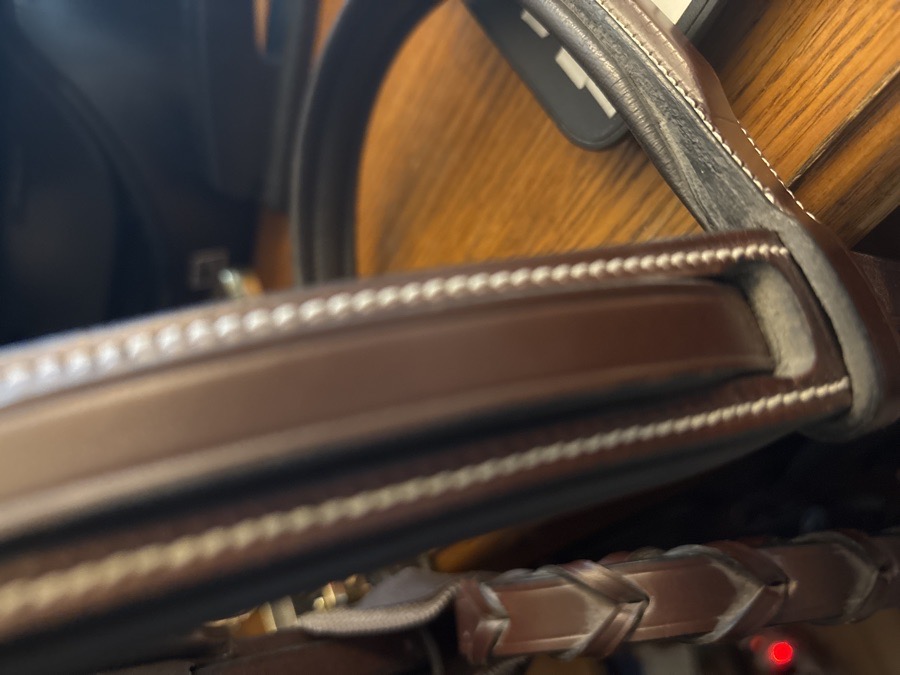 KL Select Middleburg Bridle-Horse size
