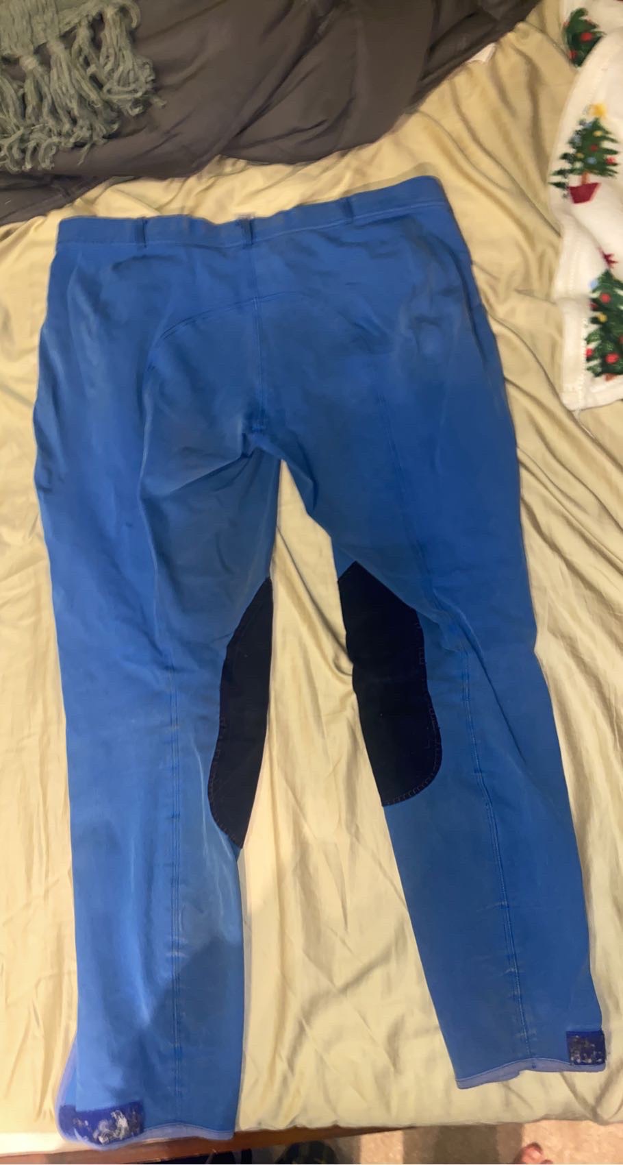 Size 34 Dover breeches