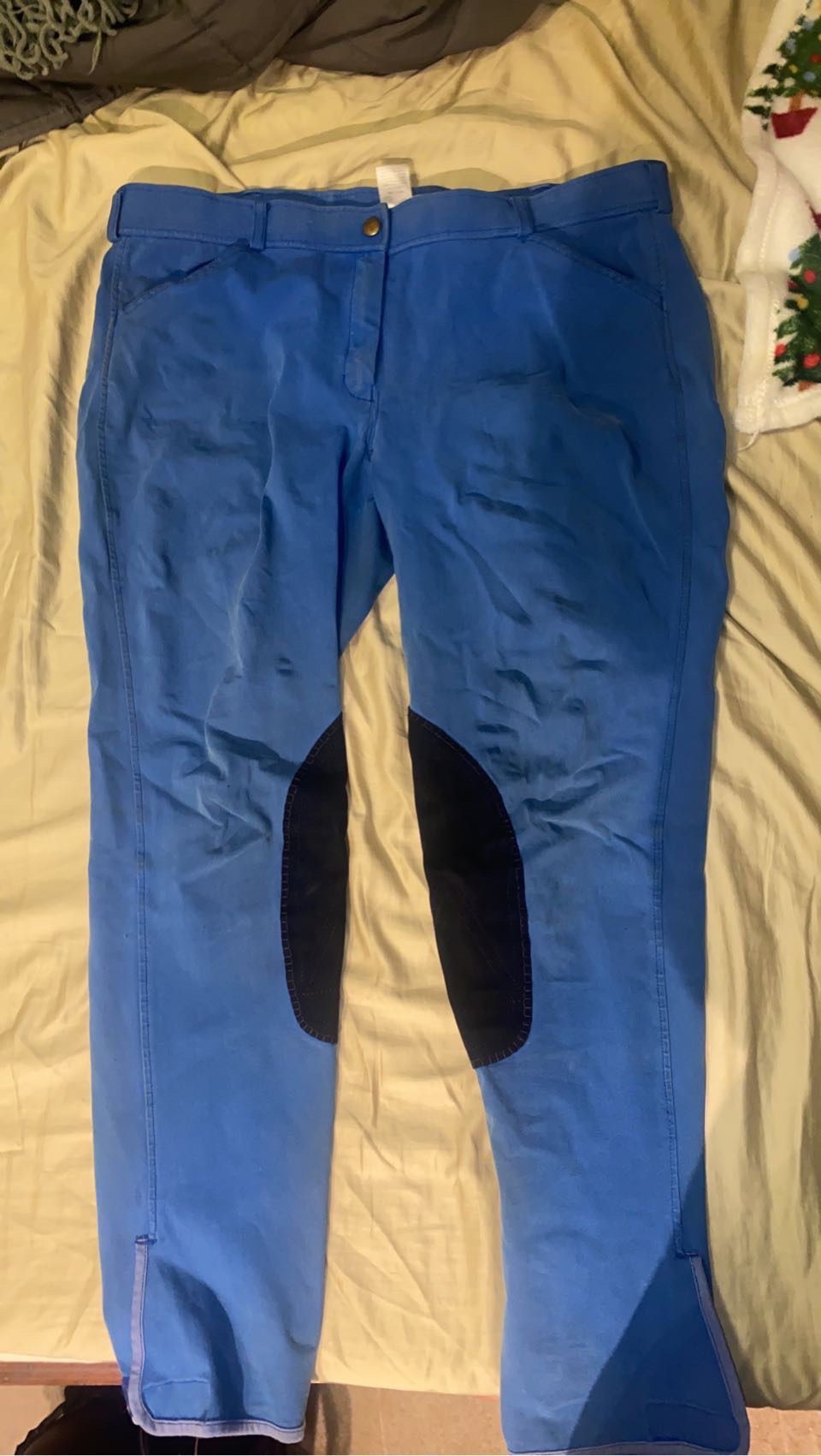 Size 34 Dover breeches